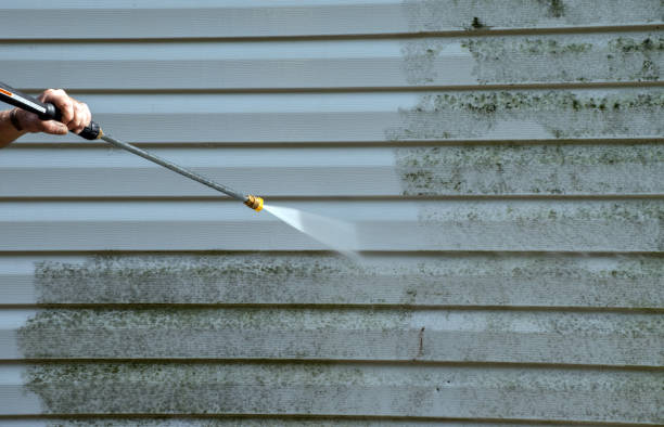 Best Parking Lot and Garage Cleaning  in Oblong, IL