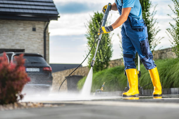 Best Roof Washing  in Oblong, IL